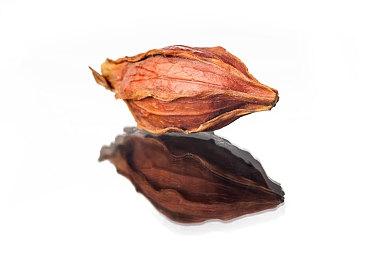 《艾尔登法环》Steam在线人数大跌 玩家激情褪去